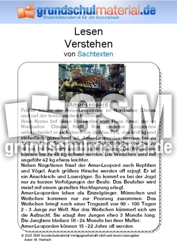 Amur-Leopard - Sachtext.pdf